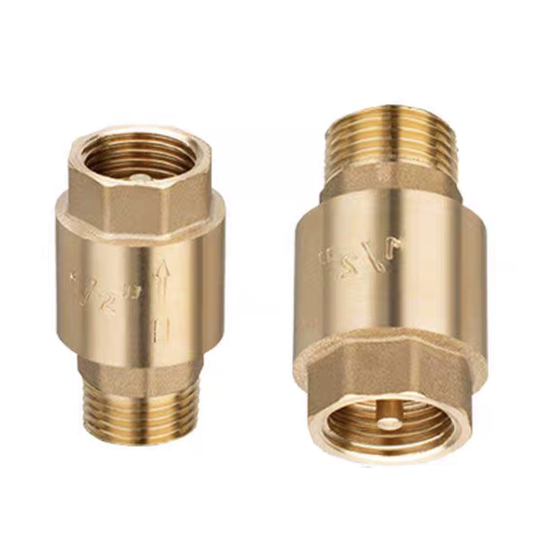 手動黄銅/ステンレス製逆止弁